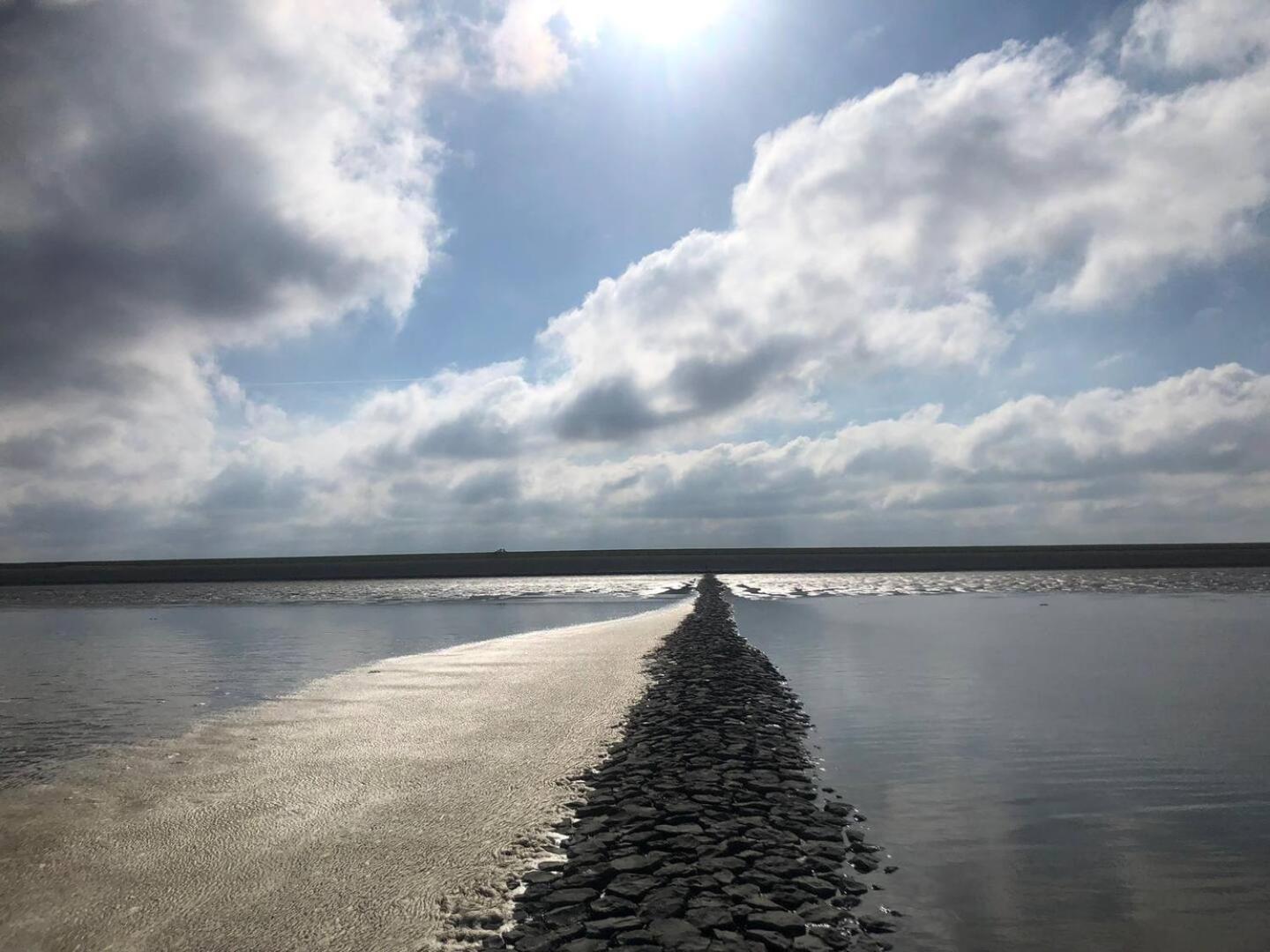 Tzummarum, Harlingen, Terschelling, Waddenzee