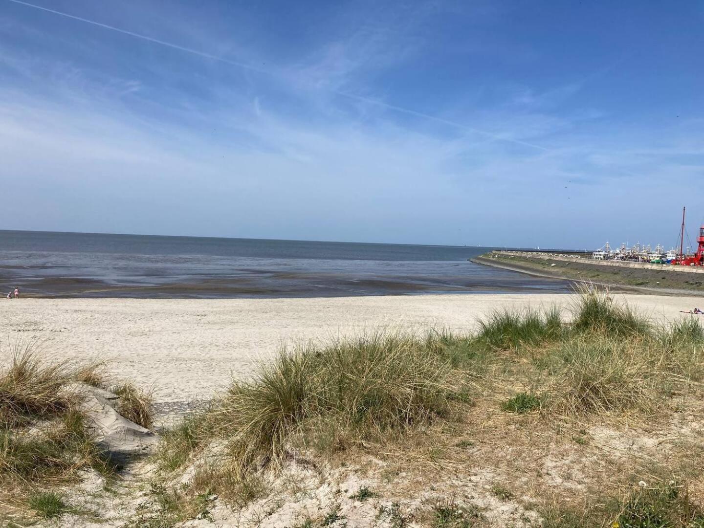 Tzummarum, Harlingen, Terschelling, Waddenzee Campingplatz
